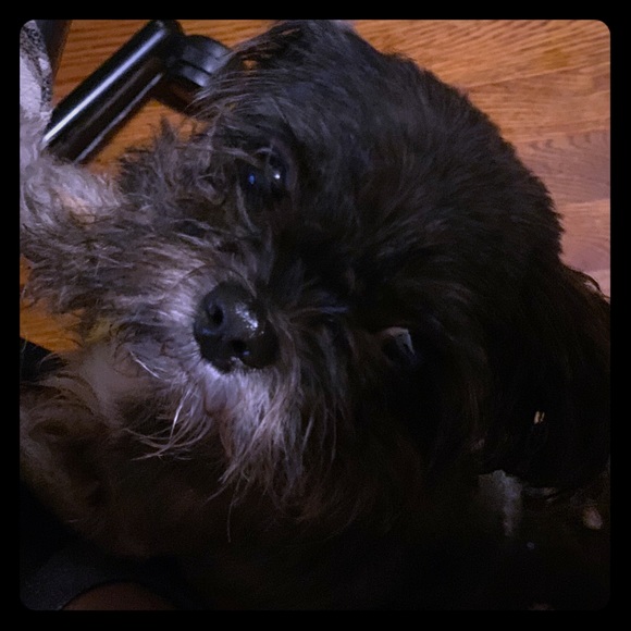 Charlies low priced closet - Picture 1 of 1